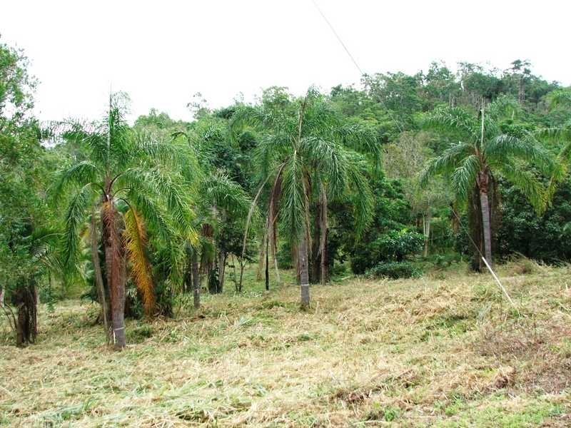 Lot 101 Moody Road, Strathdickie QLD 4800