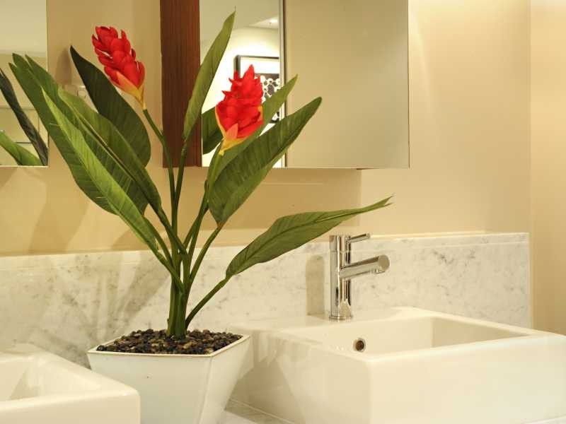 1 Bedroom Whitsunday Reflections Horizons Way, Airlie Beach QLD 4802