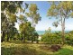 14 Woodwark Crescent, Cannonvale QLD 4802