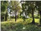 14 Woodwark Crescent, Cannonvale QLD 4802