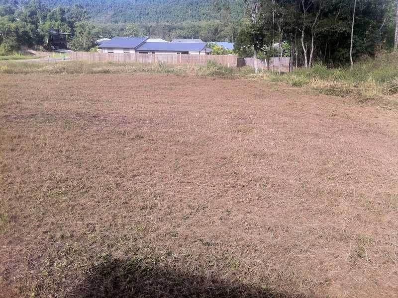 15 Horizon Court, Jubilee Pocket QLD 4802