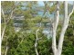 Lot LRG/1 Cycad Close, Hamilton Island QLD 4803