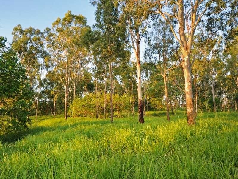 1 Valley Drive, Cannonvale QLD 4802