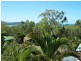 Unit 23/12 Eshelby Drive, Cannonvale QLD 4802