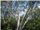 Unit EDO-COCO/1 Westview Lane, Hamilton Island QLD 4803