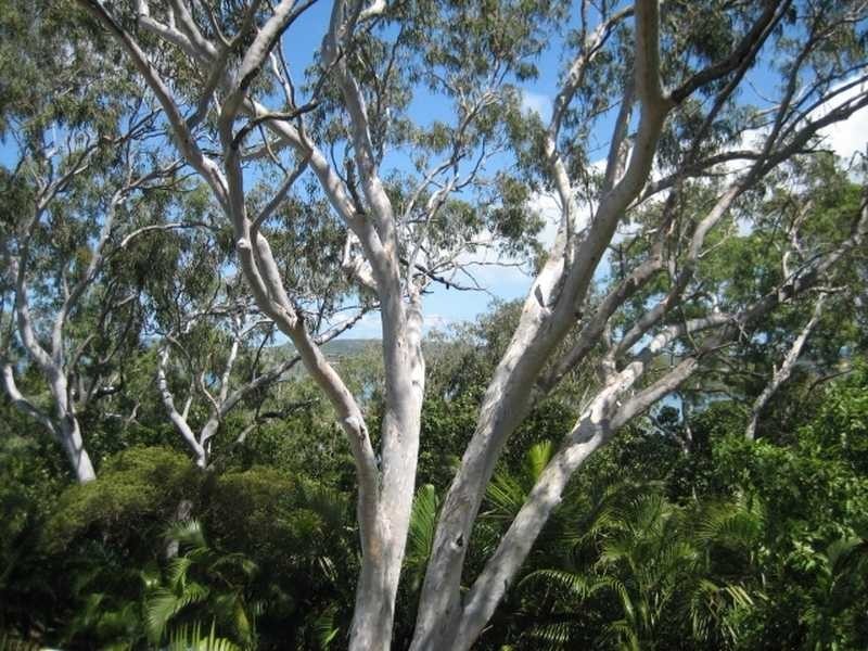 Unit EDO-COCO/1 Westview Lane, Hamilton Island QLD 4803