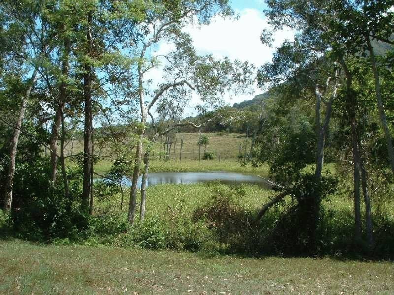 Lot 174 Allan Road, Conway QLD 4800