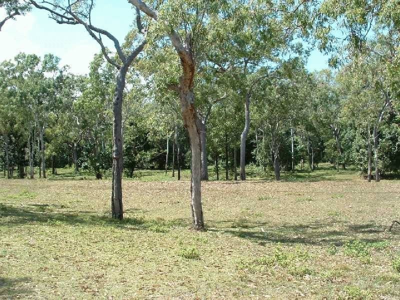 Lot 174 Allan Road, Conway QLD 4800