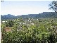 Lot 43 Rainbow Place, Jubilee Pocket QLD 4802