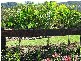 Lot 43 Rainbow Place, Jubilee Pocket QLD 4802