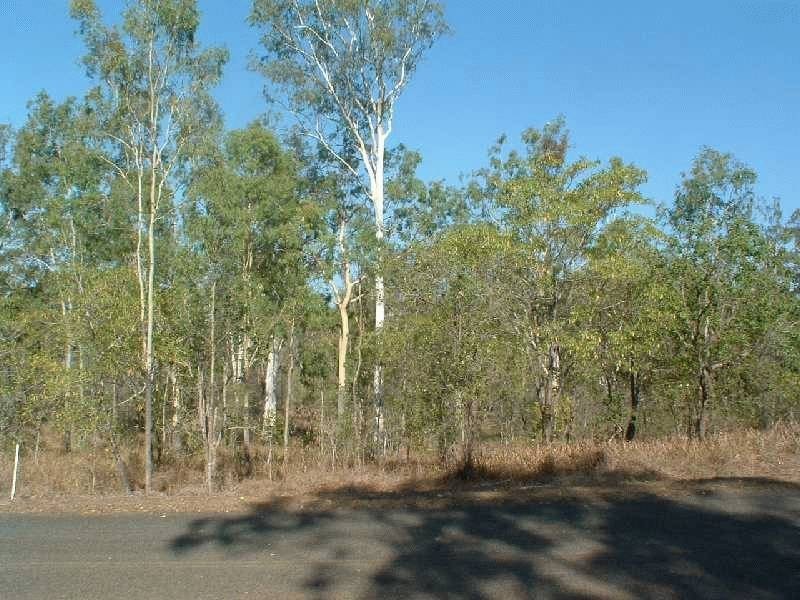 117 Lelona Drive, Bloomsbury QLD 4799