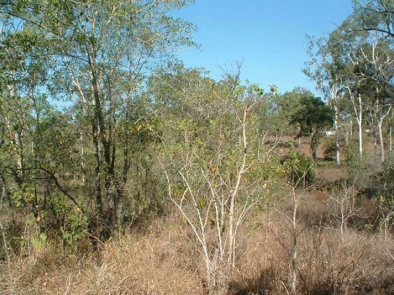 117 Lelona Drive, Bloomsbury QLD 4799