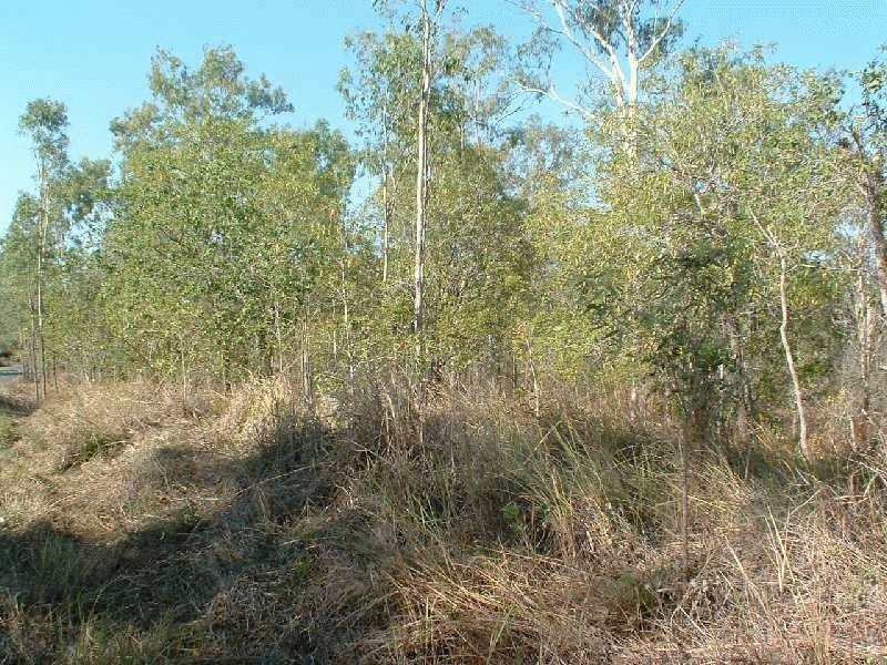 117 Lelona Drive, Bloomsbury QLD 4799