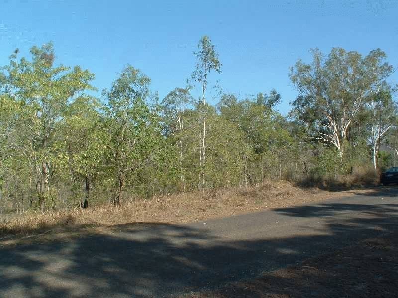 117 Lelona Drive, Bloomsbury QLD 4799