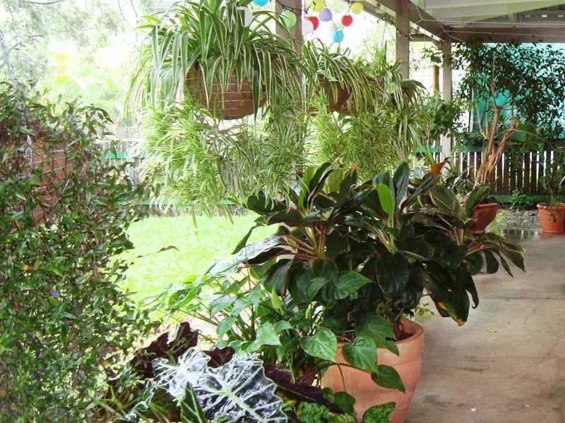 4 Aniwa Court, Jubilee Pocket QLD 4802