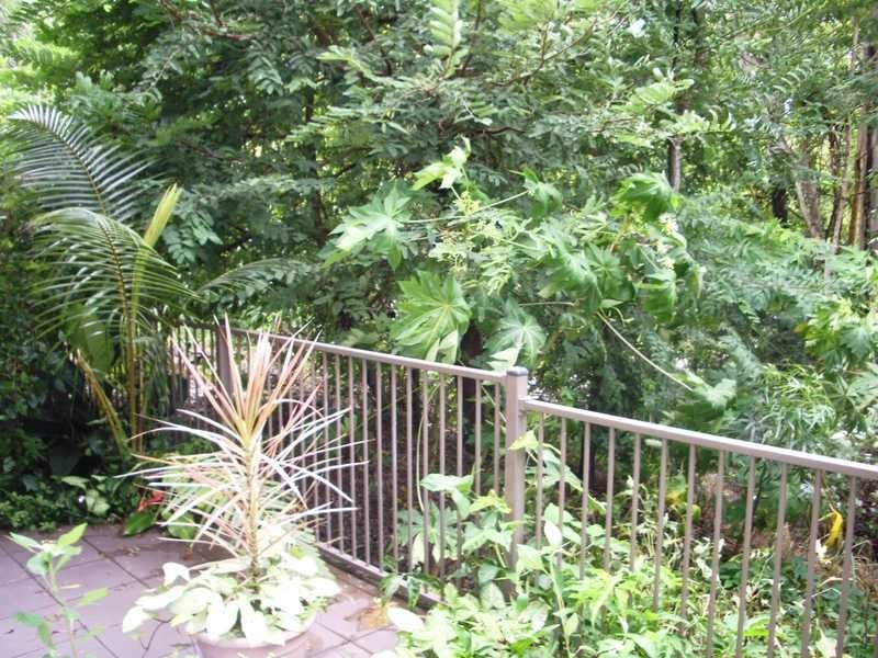 Unit 4/6 Salmon Street, Cannonvale QLD 4802