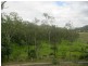 113 Wrights Road, Strathdickie QLD 4800