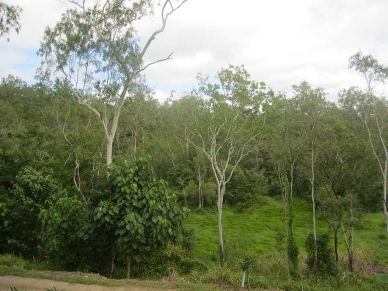 113 Wrights Road, Strathdickie QLD 4800