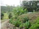 113 Wrights Road, Strathdickie QLD 4800