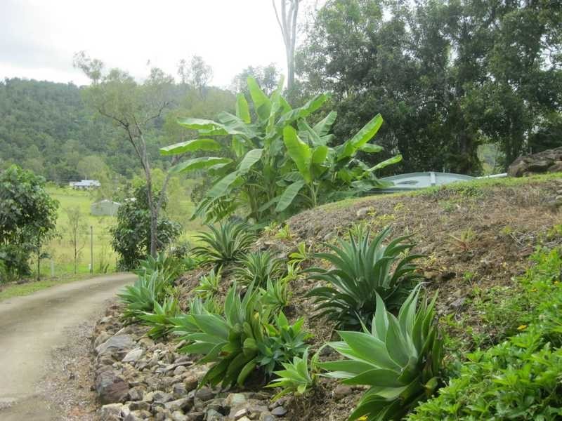 113 Wrights Road, Strathdickie QLD 4800