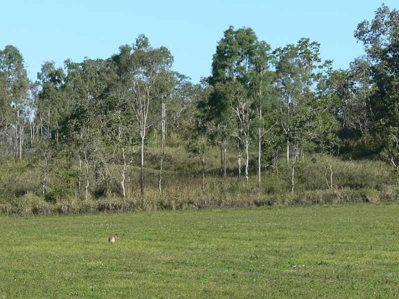 Lot 62 Gregory Cannon Valley Road, Strathdickie QLD 4800