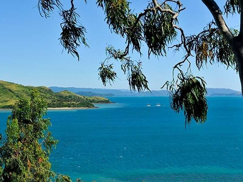 Unit 1/5 Acacia Drive, Hamilton Island QLD 4803