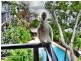 Unit 1/5 Acacia Drive, Hamilton Island QLD 4803