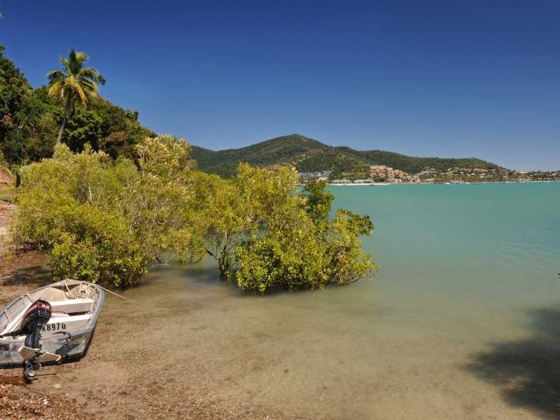 309 Mandalay Road, Mandalay QLD 4802