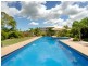 Unit 84/21 Shute Harbour Road, Cannonvale QLD 4802