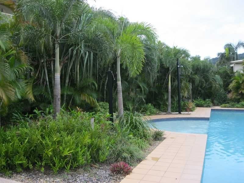 Unit 84/21 Shute Harbour Road, Cannonvale QLD 4802
