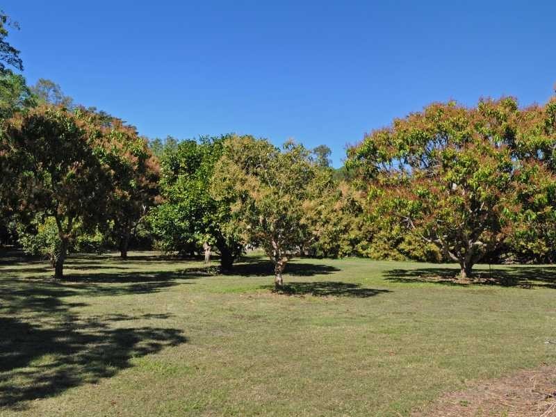 65 Jasinique Drive, Flametree QLD 4802