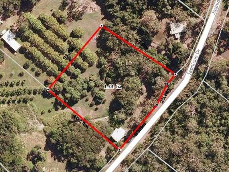 65 Jasinique Drive, Flametree QLD 4802