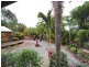 127 Staniland Drive, Strathdickie QLD 4800