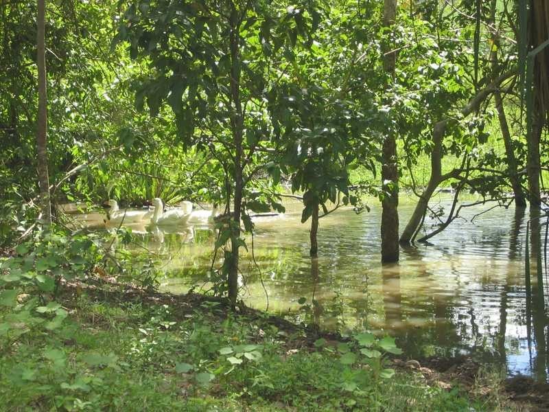 Lot 18/757 Gregory CannonValley Road, Gregory River QLD 4800