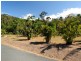 Lot 5 Mandalay Road, Mandalay QLD 4802