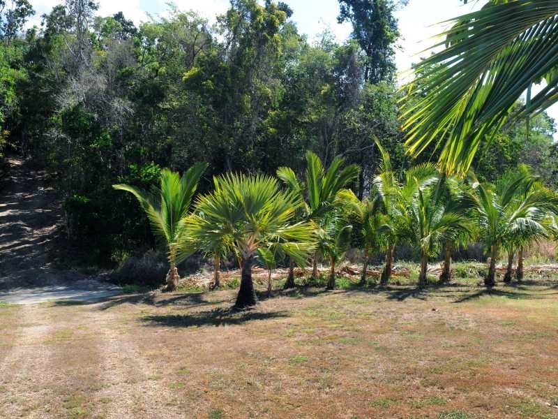 Lot 5 Mandalay Road, Mandalay QLD 4802
