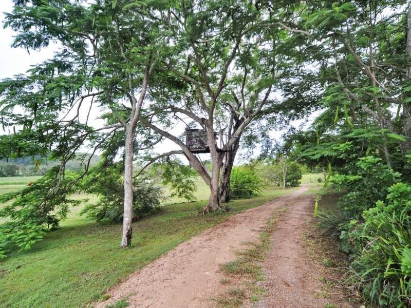 323 Gregory-Cannon Valley Road, Gregory River QLD 4800