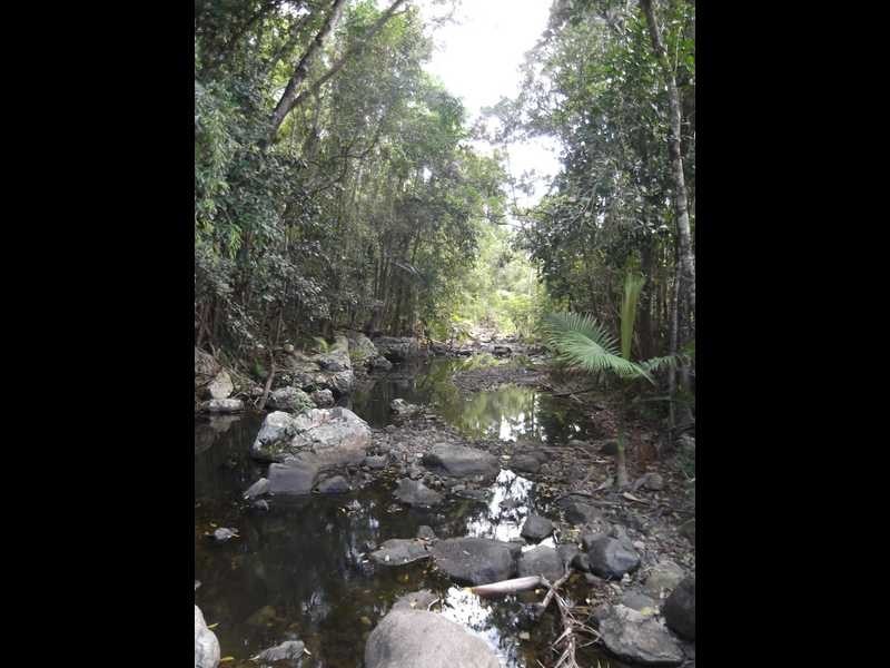 757 Saltwater Creek Road, Palm Grove QLD 4800