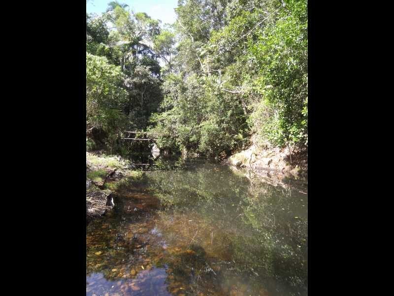 757 Saltwater Creek Road, Palm Grove QLD 4800