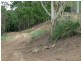 Lot 22 Botanica Drive, Woodwark QLD 4802