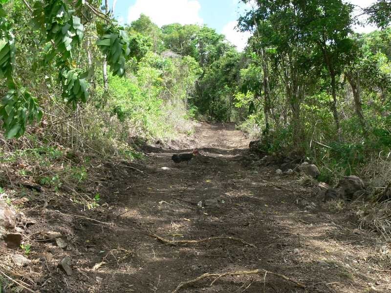 Lot 22 Botanica Drive, Woodwark QLD 4802