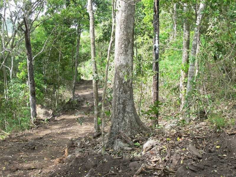 Lot 22 Botanica Drive, Woodwark QLD 4802