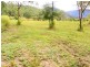 Lot 2 Paluma Road, Woodwark QLD 4802