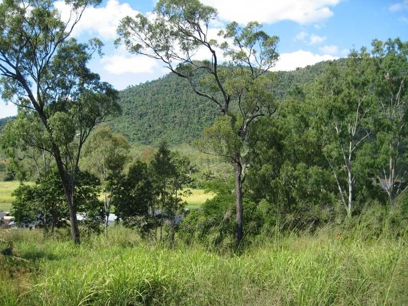 Scenic Ridge Drive Scarlett Gum Crescent, Cannonvale QLD 4802