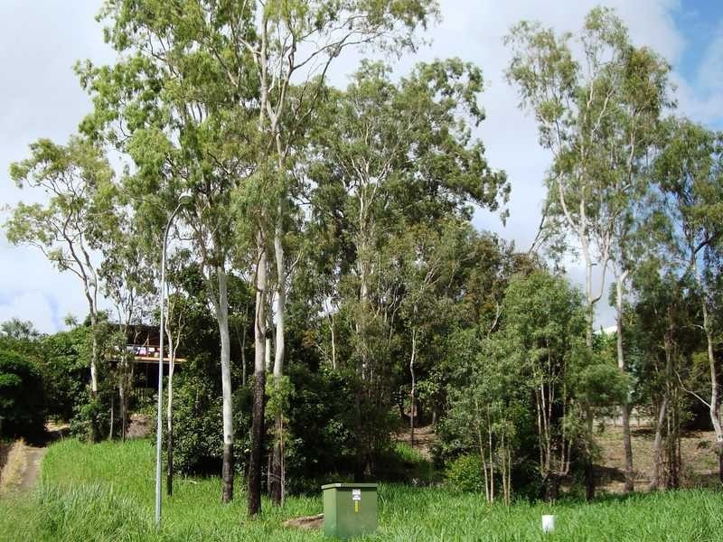 24 Abell Road, Cannonvale QLD 4802