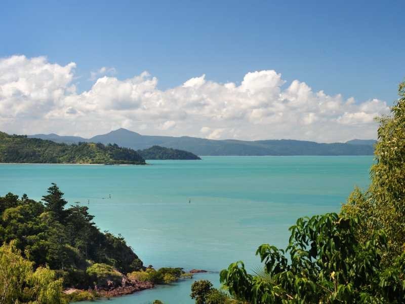 41 Harbour Ave, Shute Harbour QLD 4802