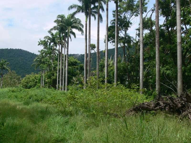 Lot 13 Shute Harbour Road, Jubilee Pocket QLD 4802