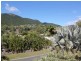 24 Grace Ave, Cannonvale QLD 4802