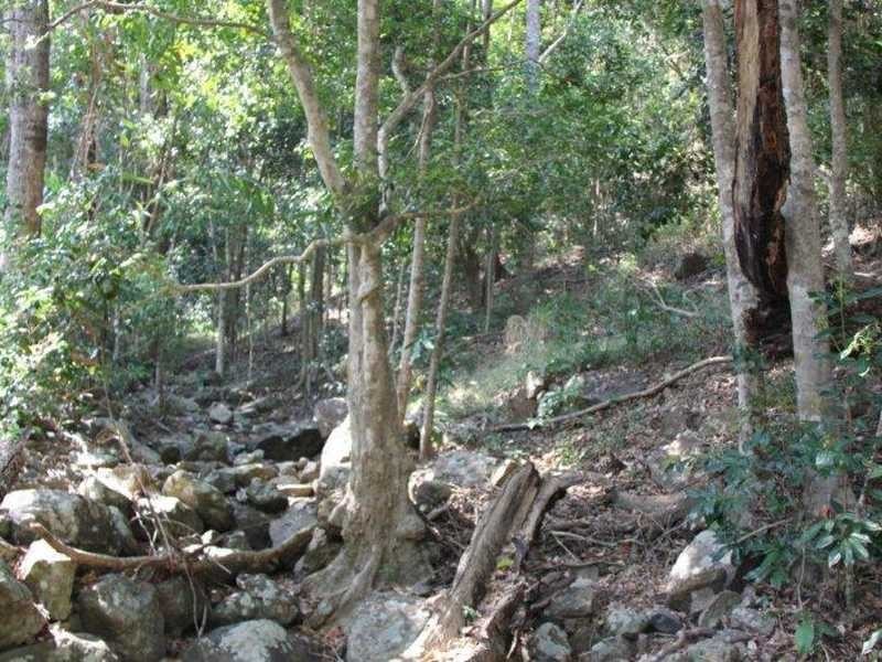 10 Bellview Close, Cannonvale QLD 4802