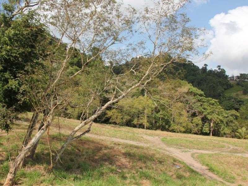 10 Bellview Close, Cannonvale QLD 4802